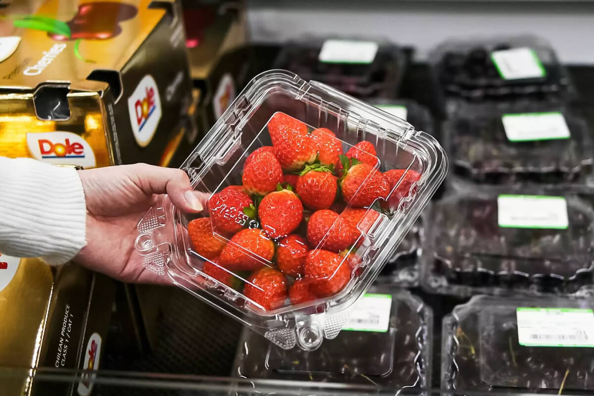 スーパーでの回収に向け、受入基準のチェックポイントとなる透明トレーの材質とリサイクルマーク。