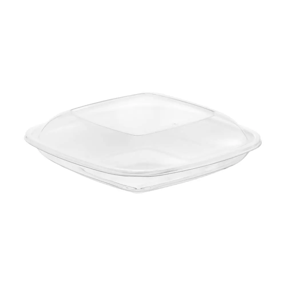Clear Packaging Salad SK889B-A